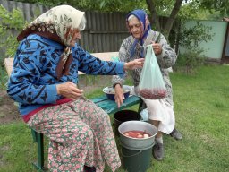 Вымирание: Правительство Гройсмана повысило пенсии на 2 доллара, но не для всех