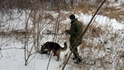 В деле о расчленении трупа в Константиновке появились новые подробности