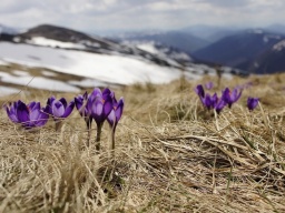 Погода на 18 марта: в Украине днем будет тепло, ночью ожидается мороз