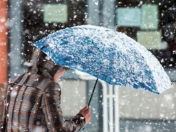 В конце марта в Украине начнутся дожди и снегопады - синоптики