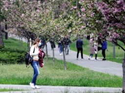 В Минздраве рассказали, по каким критериям будут ослаблять карантин в регионах