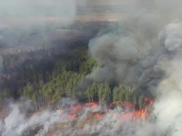 Пожар в Чернобыльской зоне: в регионе уничтожены 30% туристических локаций