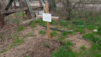 Сысоев Александр Николаевич - погиб