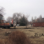 Установили вагончик и пригнали технику: В Константиновке на месте незаконно вырубленных деревьев нач