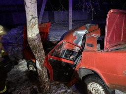 ДТП в Константиновке. ВАЗ 2101 врезался в дерево