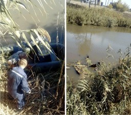 В Кривом Торце нашли тело мужчины