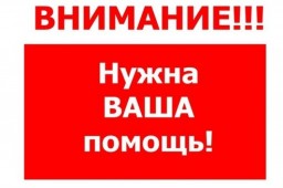 НУЖНА ВАША ПОМОЩЬ!