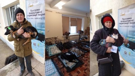 В Константиновке доступна бесплатная стерилизация для животных
