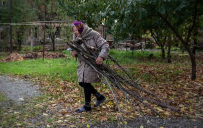 Новый закон об ограничении хранения дров: сколько можно хранить, чтобы избежать ответственности