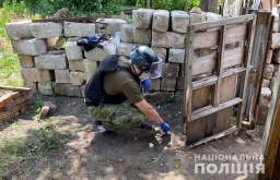 Организатор взрыва в селе Иванополье Константиноского района задержана