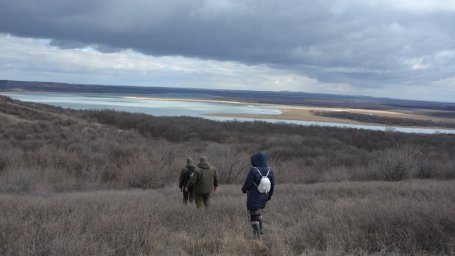 Война угрожает дикой природе парка "Клебан-Бык": гибнут краснокнижные животные, а дикие кабаны бегут из региона