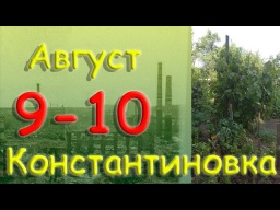 10 серпня 2022 року.  Костянтинівка.  Донецька область.  Донбас.