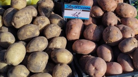 Как сегодня отличаются цены на продукты на рынках Константиновки