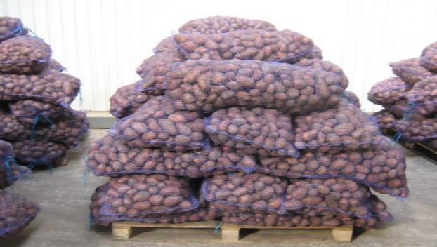 Цены на картофель в Константиновке, - СМИ