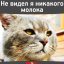 Светлячок